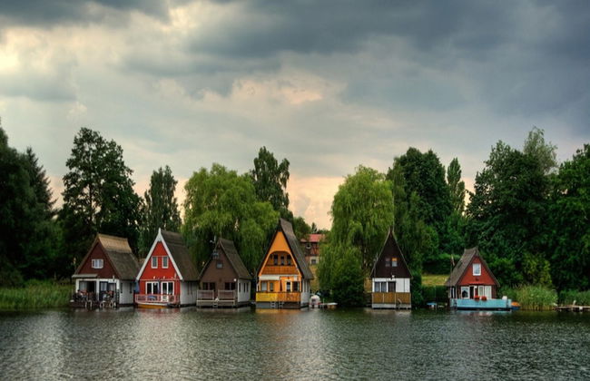 Ferienhaus im Mueritz-nationalpark - Photo 12