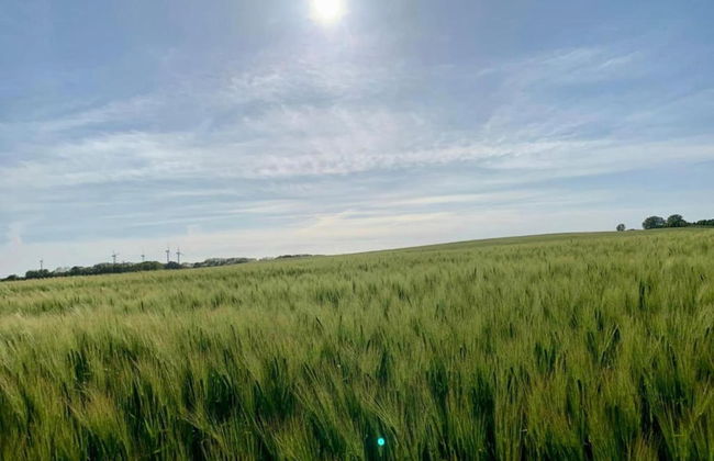 Lovely Apartment in Neubukow near Sea - Foto 39