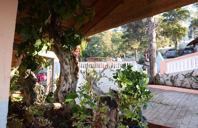 Los Altos de Constanza - Foto 2