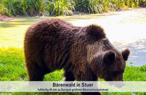 Wohlfühlparadies Moritz, Stuer - Strandnah am Plauer See mit Wlan und Parkplatz - Foto 32