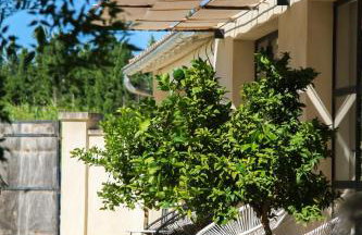 La Maison Barbentane - Foto 8