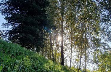 Budzi nas las Marcyporęba - Duży domek - Photo 28
