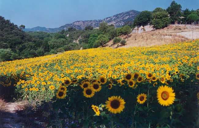 Hotel Monnàber Vell - Foto 66