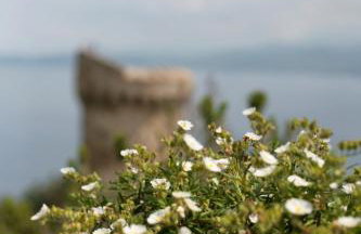 Casa Vadde Lungha superbe vue mer 8 personnes - Photo 17