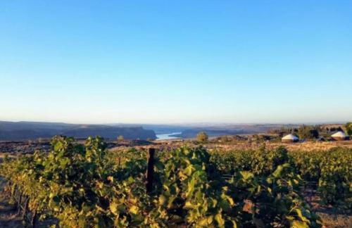 The Starlight Lounge Cave B Ridge Escape and Wine - Foto 15