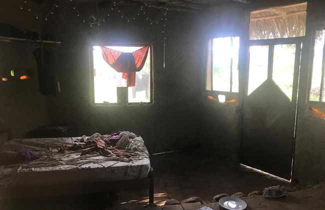 Ayahuaska - Photo 10