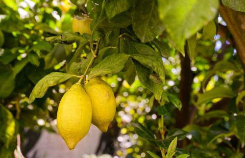 Refúgios do Rio Dão - Foto 56