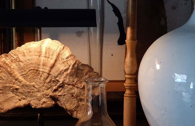 Apartment Dijver - Photo 16