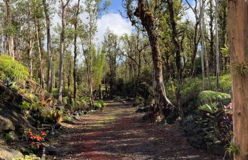 Exotic Garden cottage at amazing volcano fissure - Foto 45