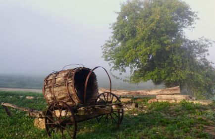 Agriturismo Le Canterie - Foto 21