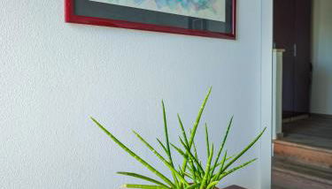 Agriturismo Nicobresaola - Foto 3