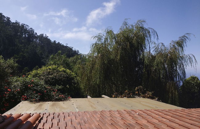 Casas Maravilha Calheta - Photo 57