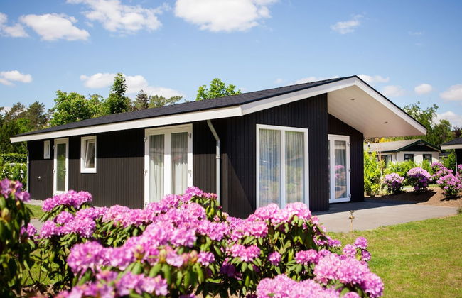 Chalet in Netherlands by Scenic Pond - Photo 28