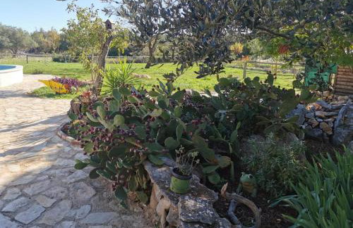 Hvar Mediterranean Ranch House - Foto 17