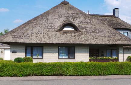 Ferien im Reetdachhaus - Foto 2