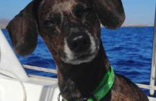 Castillo Mar 95 - Photo 44