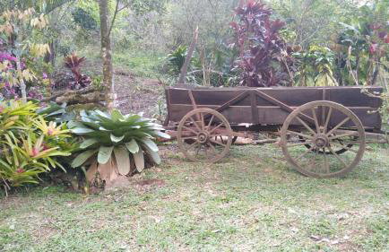 Aldeia Pé da Serra Cabana Natureza - Foto 15