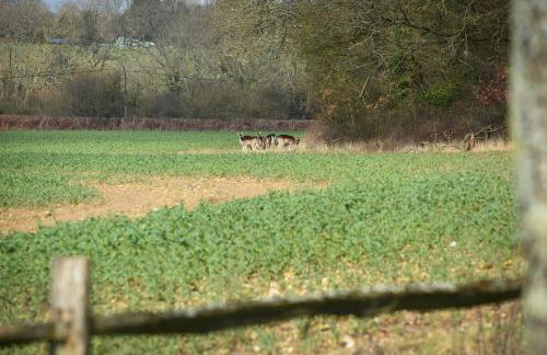 Air Maison - The Cow Shed WOW Factor Countryside Retreat - Foto 34