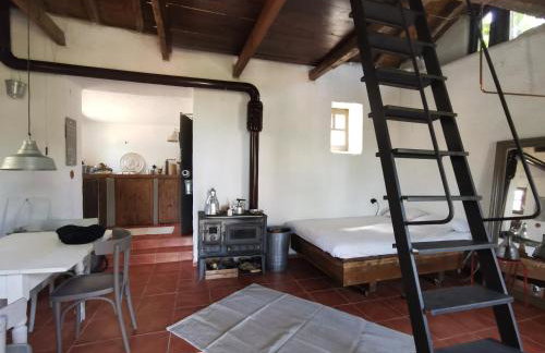 Dendrocopos Medius - Photo 1