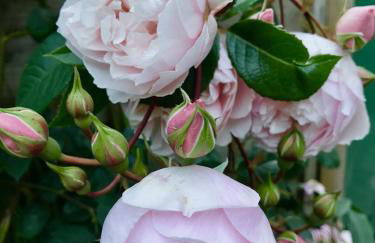 Key Cottage, sleeps 8 - Foto 27