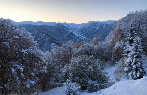 le Chalet de l'aiglon - Foto 34