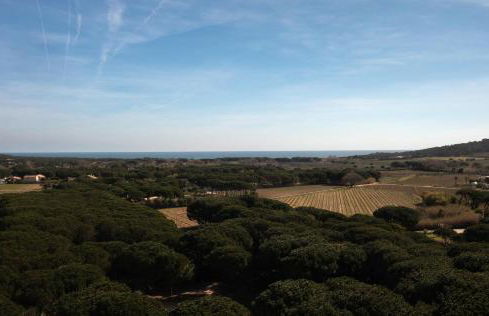 Studio 2 Villalormarin - Foto 9