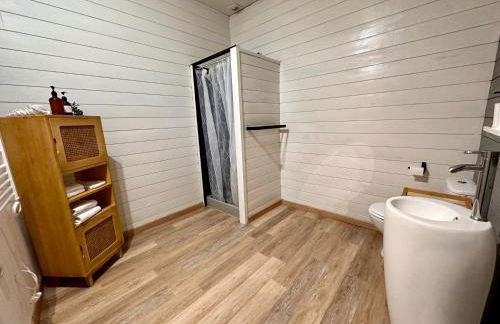 Appartement Centre ville Le blanc - Foto 14