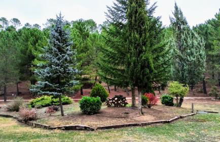 Chalet lujo en finca Zafiro lagunazo Riopar 5 o 3 dormitorios y 3 Baños Parque Natural del Rio Mundo - Foto 63