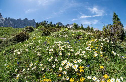 Pension Lenz´n am Christlhof - Foto 17