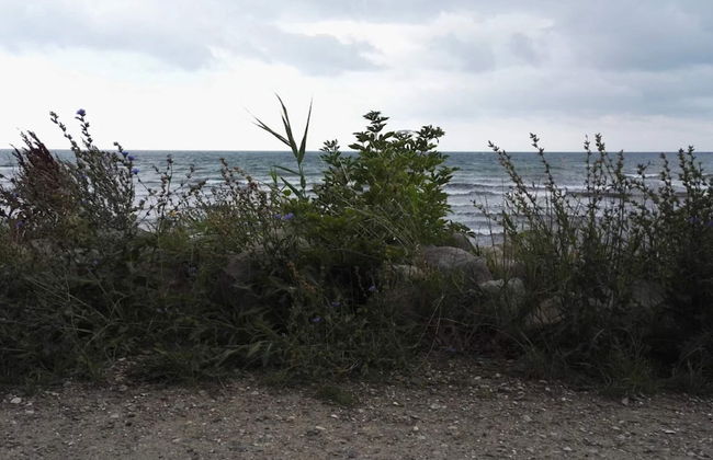 Luxury Wellness Retreat - By Traum Ferienwohnungen - Foto 26