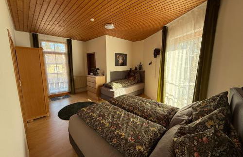 Wildneschd - Zentral & Schwarzwald Plus inklusive - Foto 19