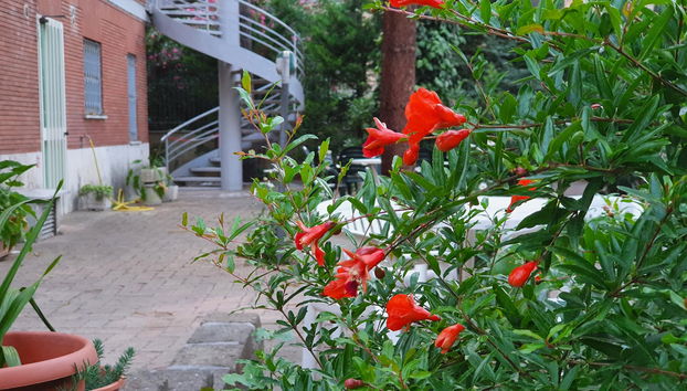 Villa Letizia - Casa Per Ferie - Foto 5