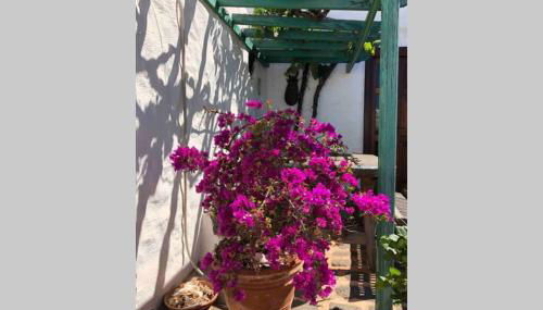 Casa Alegria II - Foto 2