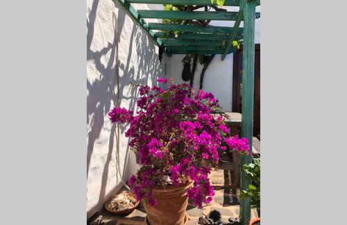 Casa Alegria II - Foto 2