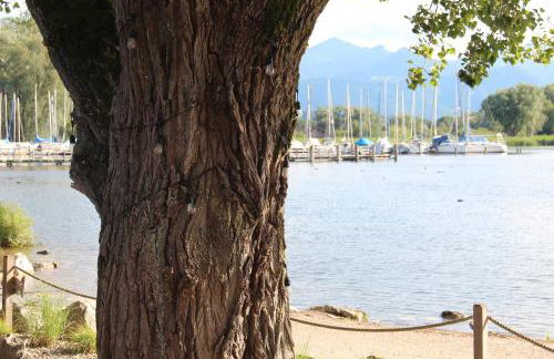 Strandhaus Chiemsee - Foto 78