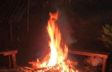 Sítio Com riacho particular em Cachoeira de Macacu - Foto 5