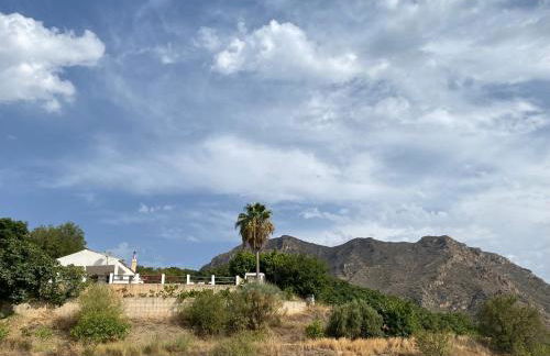 Cortijo Peña Blanca - Foto 37