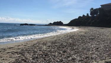 Appart. en Corse t3 bord de mer et piscine. N 143 - Foto 3