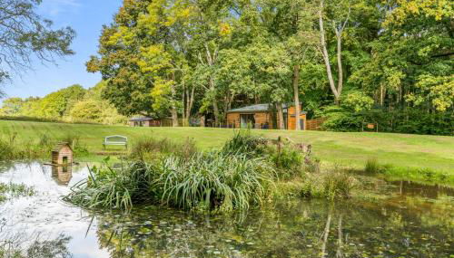 Ivy Cottage Holiday Cabins - Foto 3, Garden, Garden view