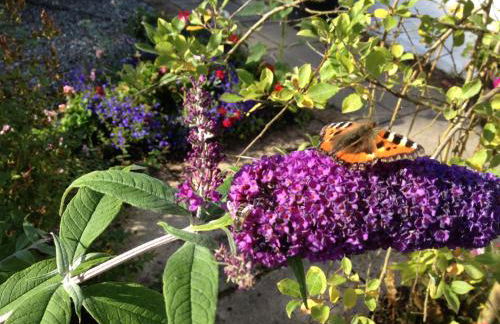 Shegarton Farm Cottages - Foto 44