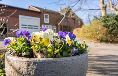 Ferienhof Friccius - Photo 20