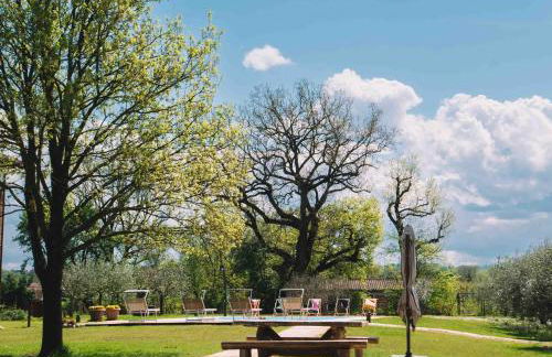 Podere Selvatici - Foto 17