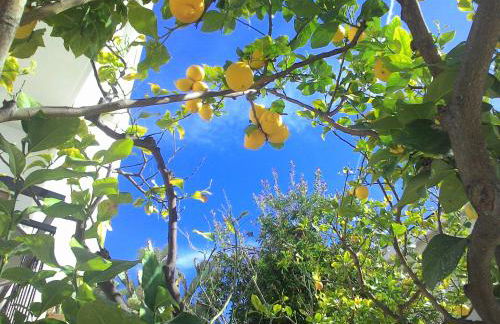 Residence La Carruba - Foto 71