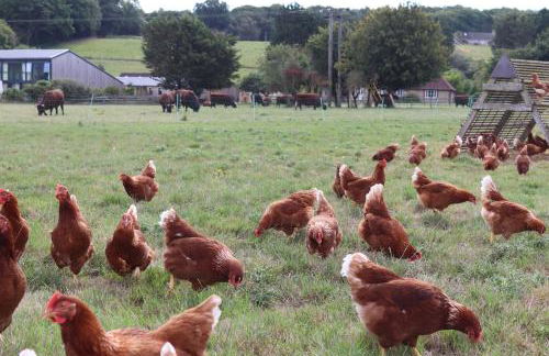 Leafield House Nables Farm - Foto 64