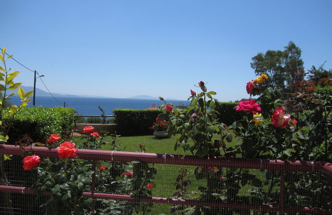 Amalia Residences - Photo 34