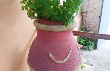 GIATRELOS HOUSE Holiday Home near Shipwreck Zakynthos - Foto 14