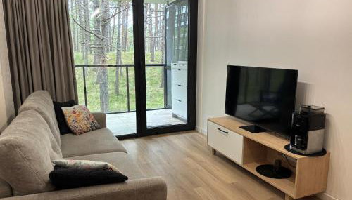 Apartament Sosnowy AKTENA Shellter Rogowo - Foto 3