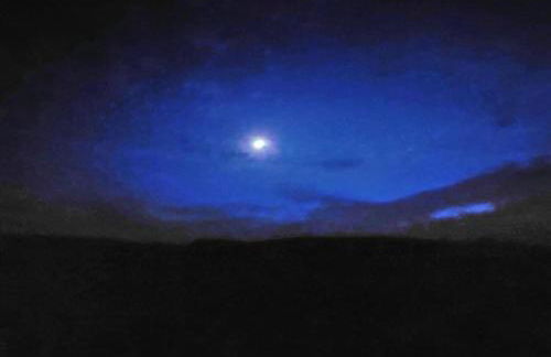 Owl Cabin - Photo 42