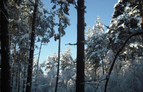 Deerdale Lodge - Foto 12