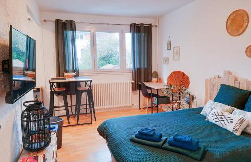 JOLI STUDIO AVEC PARKING ET NETFLIX - Proche du palais des exposition, du stade de Beaublanc et du Zenith - Foto 11